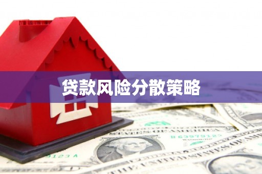 积石山贷款风险分散策略