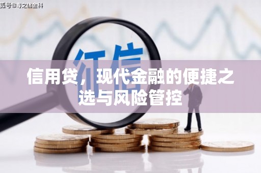 积石山信用贷，现代金融的便捷之选与风险管控