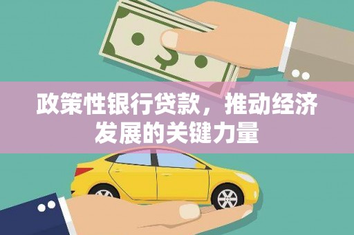 积石山政策性银行贷款，推动经济发展的关键力量