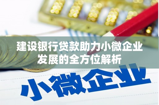 积石山建设银行贷款助力小微企业发展的全方位解析