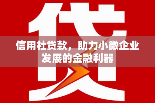 积石山信用社贷款，助力小微企业发展的金融利器