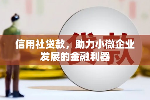 积石山信用社贷款，助力小微企业发展的金融利器