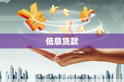 积石山低息贷款