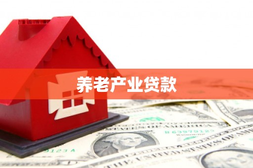 积石山养老产业贷款