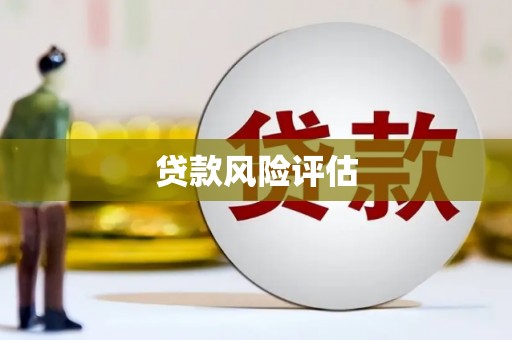 积石山贷款风险评估
