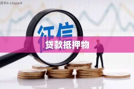 积石山贷款抵押物