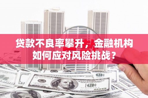 积石山贷款不良率攀升，金融机构如何应对风险挑战？