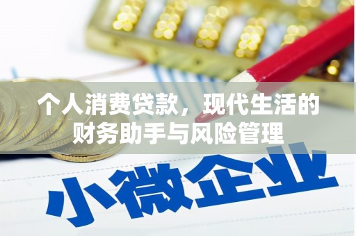 积石山个人消费贷款，现代生活的财务助手与风险管理
