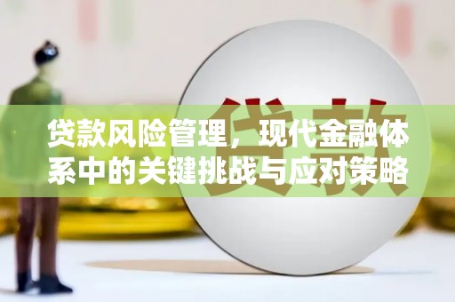 积石山贷款风险管理，现代金融体系中的关键挑战与应对策略