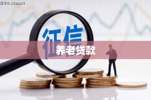 积石山养老贷款