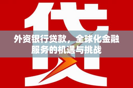 积石山外资银行贷款，全球化金融服务的机遇与挑战