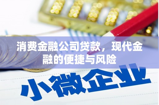 积石山消费金融公司贷款，现代金融的便捷与风险