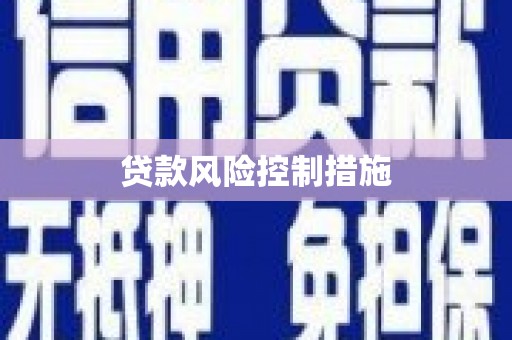 积石山贷款风险控制措施
