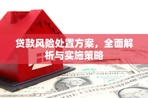 积石山贷款风险处置方案，全面解析与实施策略